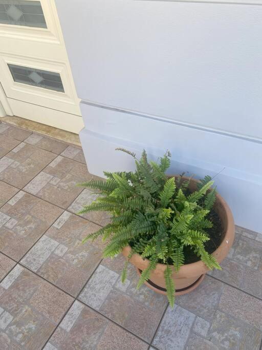 New Lovely Apartment In Heraklion Extérieur photo