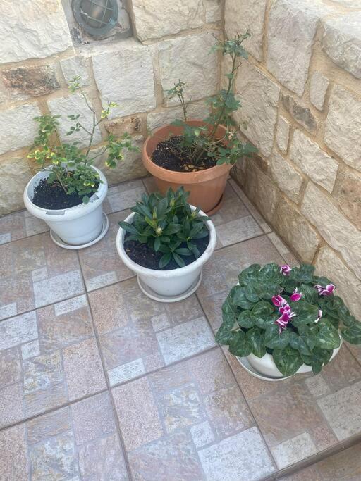 New Lovely Apartment In Heraklion Extérieur photo